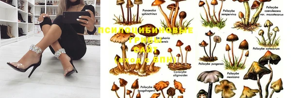 прущая мука Билибино