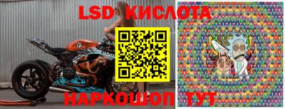 кокс Кингисепп