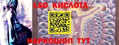 кокс Кингисепп