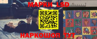 кокс Кингисепп