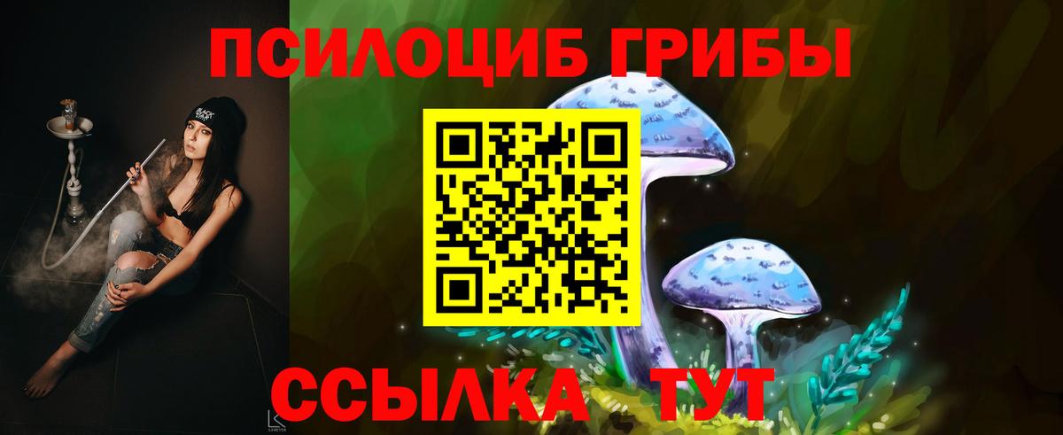 Галлюциногенные грибы GOLDEN TEACHER Люберцы